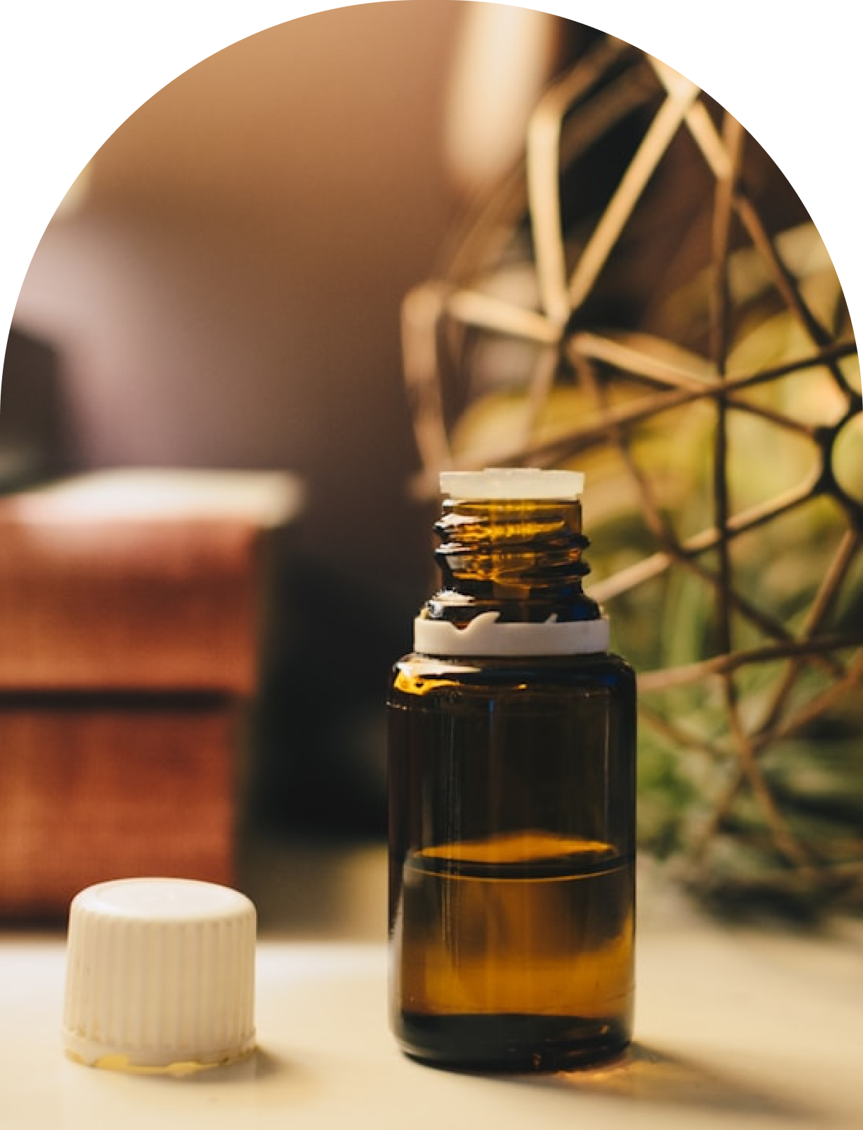 Wellness Essentials